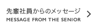 先輩社員からのメッセージ MESSAGE FROM THE SENIOR